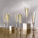 Champagnerglas ASTROLOGIE