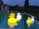 Lampe THE DUCK DUCK