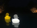 Lampe THE DUCK DUCK