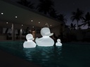 Lampe THE DUCK DUCK