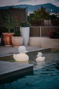 Lampe THE DUCK DUCK