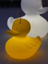 Lampe THE DUCK DUCK