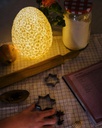 Lampe THE DAISY