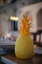 Lampe THE PIiÑACOLADA