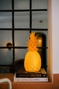 Lampe THE PIiÑACOLADA