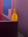 Lampe THE PIiÑACOLADA