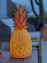 Lampe THE PIiÑACOLADA
