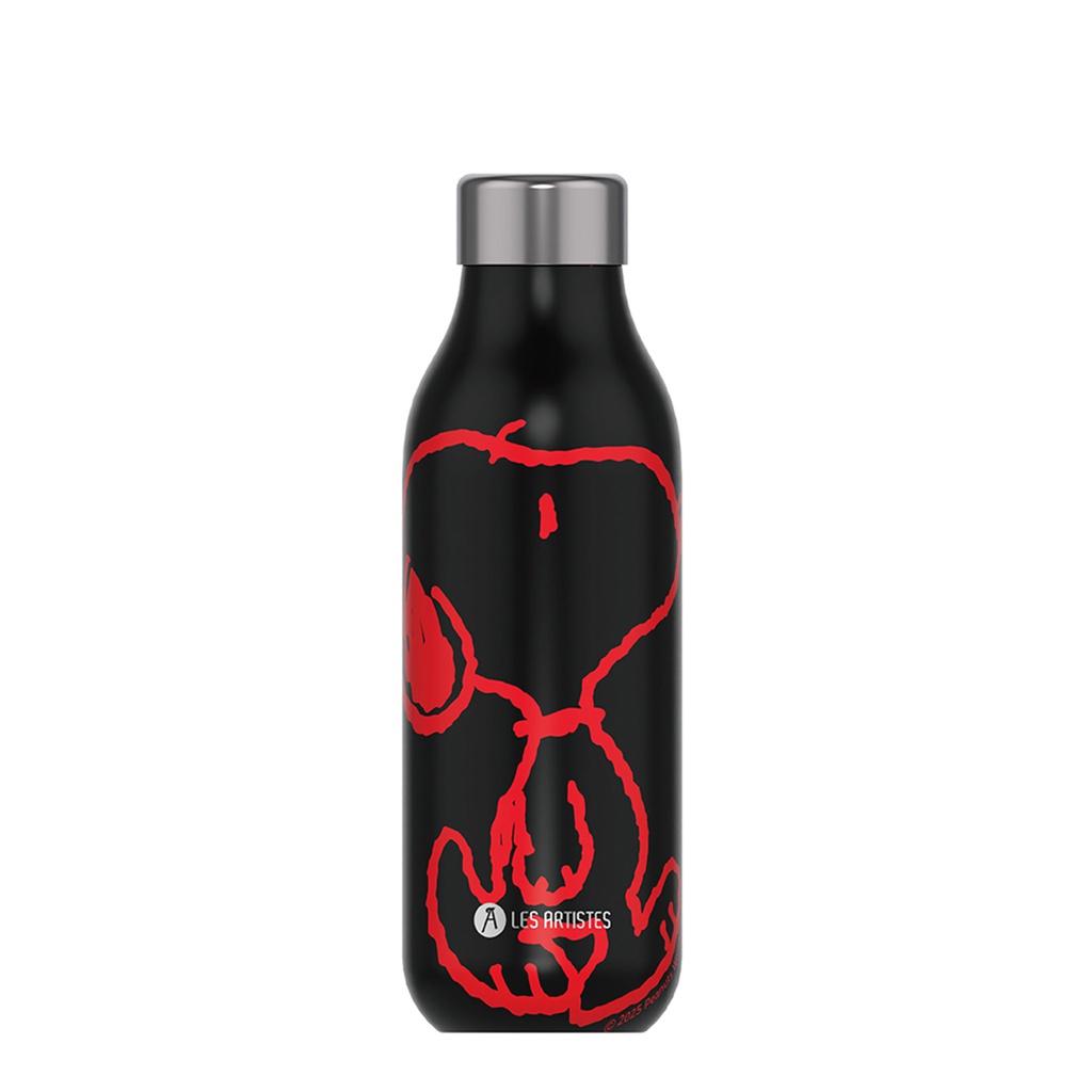 Isoliertrinkflasche 2.0 LES ARTISTES (Aro) (Kopie)