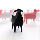 THE SHEEP
